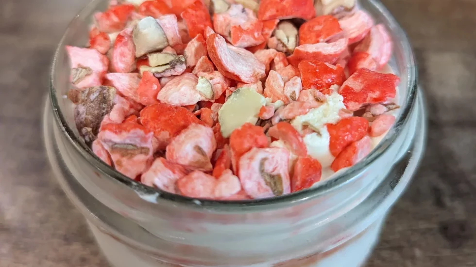 antropotes-lyon-tiramisu-pralines